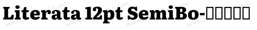 Literata 12pt SemiBo字体转换